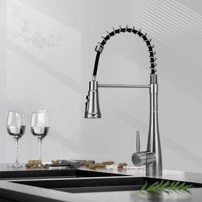 Garden Sanctuary pre-rinse pull-down swivel kitchen faucet with a modern design and flexible spray head.
