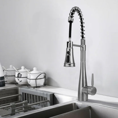 Garden Sanctuary pre-rinse pull-down swivel kitchen faucet with high-arc spout and flexible hose for easy kitchen use.