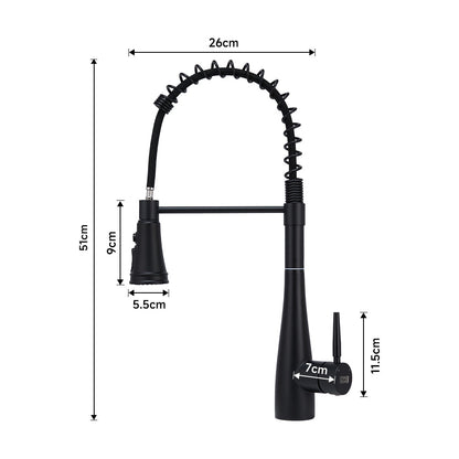 Garden Sanctuary pre-rinse pull-down swivel kitchen faucet with stainless steel finish and ergonomic handle.