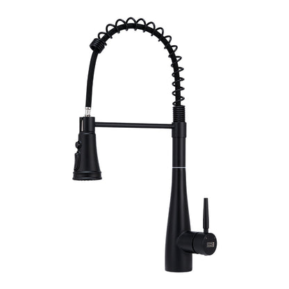 Garden Sanctuary pre-rinse pull-down swivel kitchen faucet with modern design and flexible spray head.