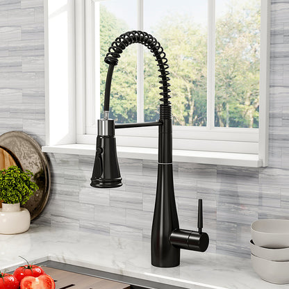Garden Sanctuary pre-rinse pull-down swivel kitchen faucet with modern design and flexible spray head for easy kitchen use.